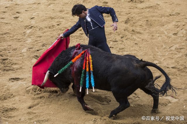 西班牙举办"斗牛狂欢节",市民被牛追赶撒腿狂奔